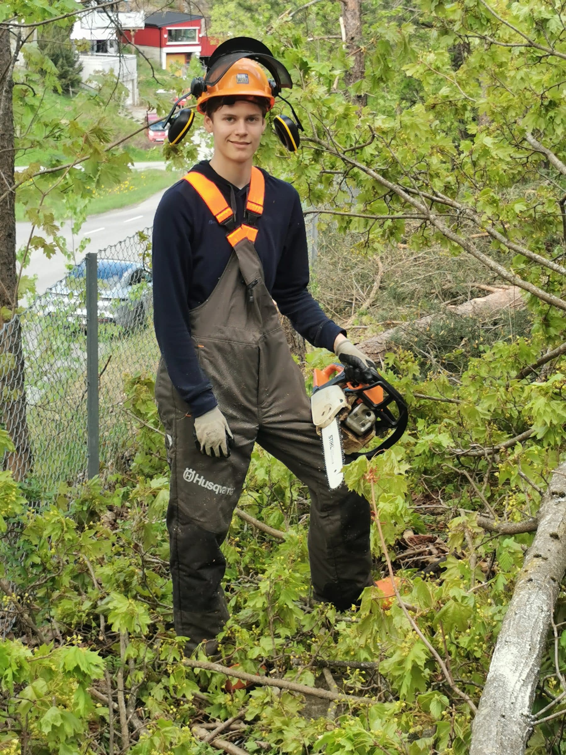 Arborist med motorsag og verneutstyr klar til trefelling