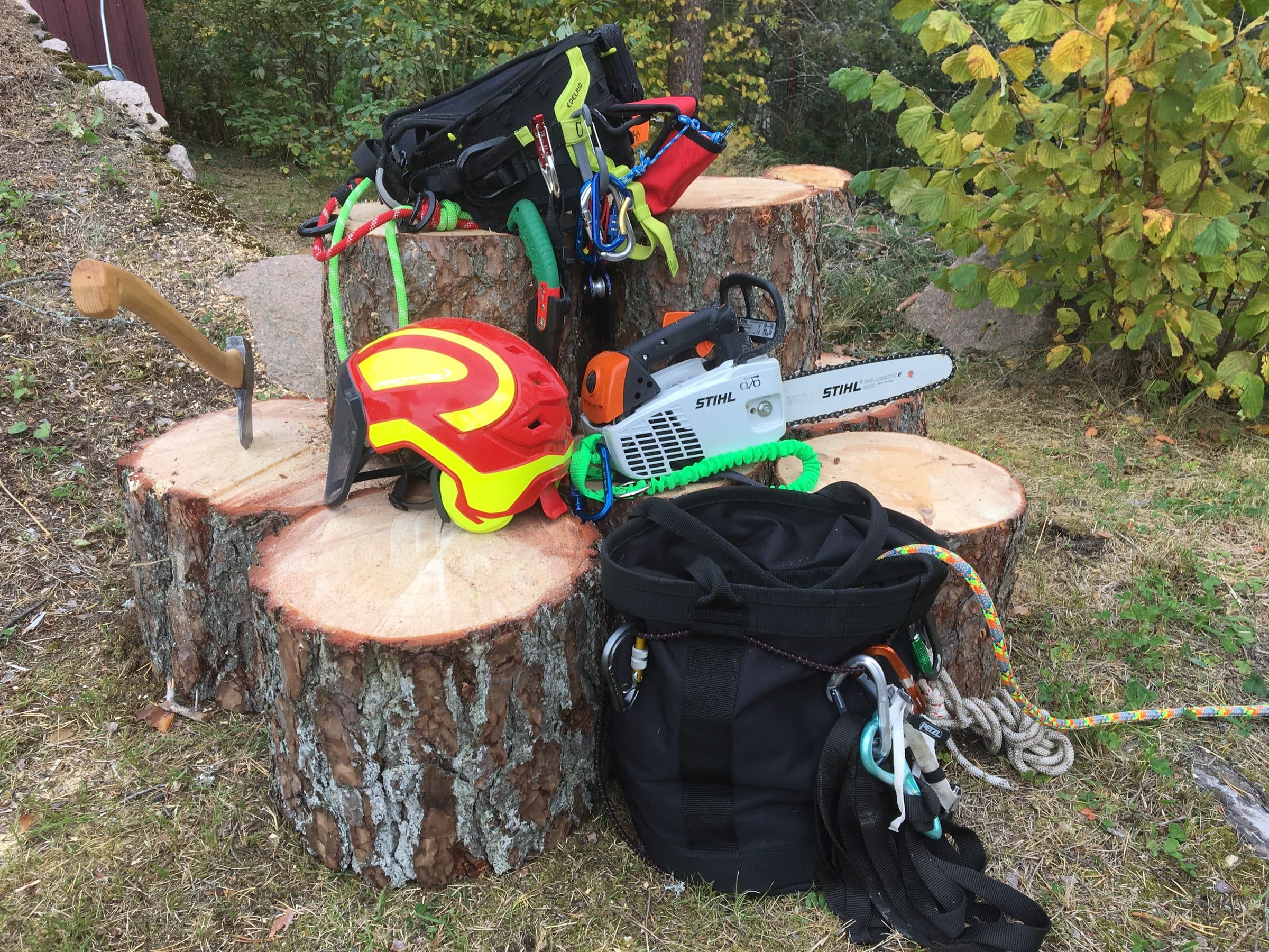 Klatreutstyr, motorsag og hjelm oppstilt på stubber etter trefelling